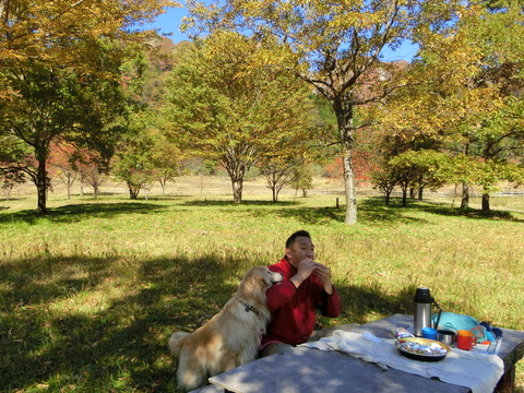 鍋の平キャンプ村（熊本県高森町）_d0257697_16142376.jpg