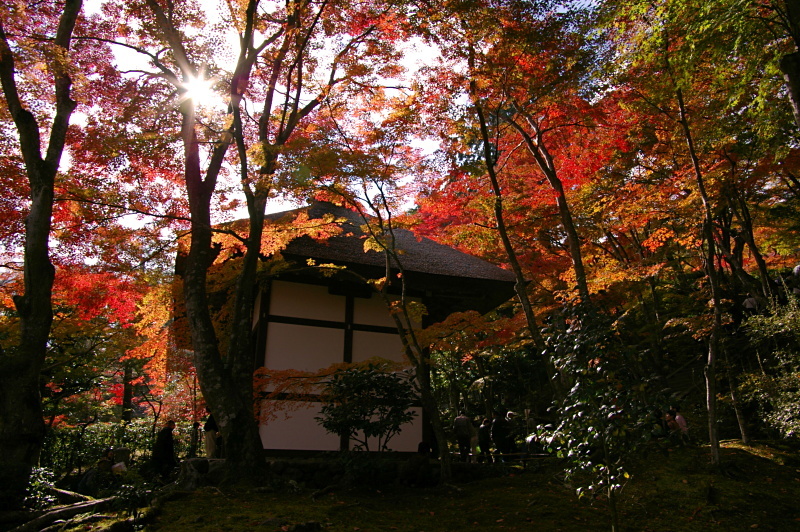 常寂光寺　紅葉_c0382798_07371177.jpg