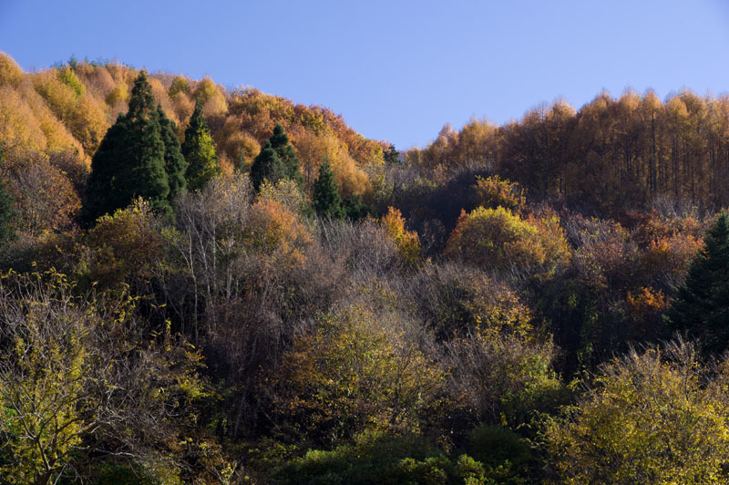 １１月７日　今日の景色_d0143700_23345325.jpg