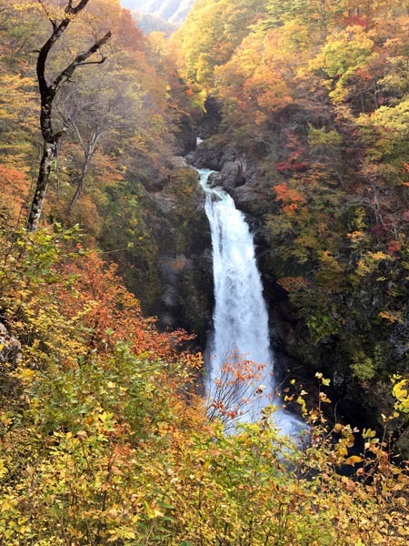 久しぶりに出かけてきました。_a0201202_10104611.jpg