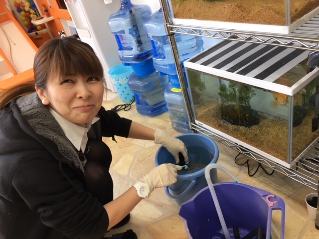 11月7日(火)☆TOMMYアウトレット☆あゆブログ(*^^)v ローンでお悩みの方ご相談下さい♪_b0127002_16580093.jpg