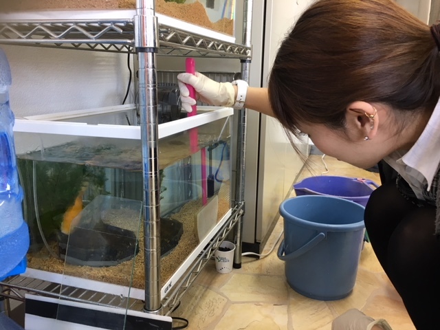 11月7日(火)☆TOMMYアウトレット☆あゆブログ(*^^)v ローンでお悩みの方ご相談下さい♪_b0127002_16584018.jpg