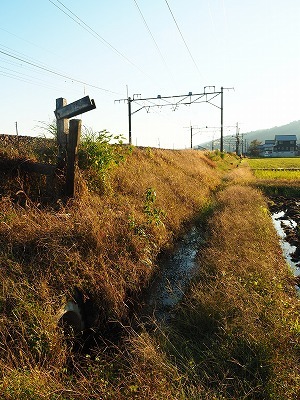 暗渠探し・・・しました_c0336902_09303596.jpg