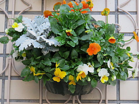 d0046702_19072328.jpg