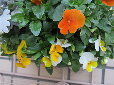 d0046702_19074402.jpg