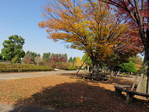 d0046702_19075540.jpg