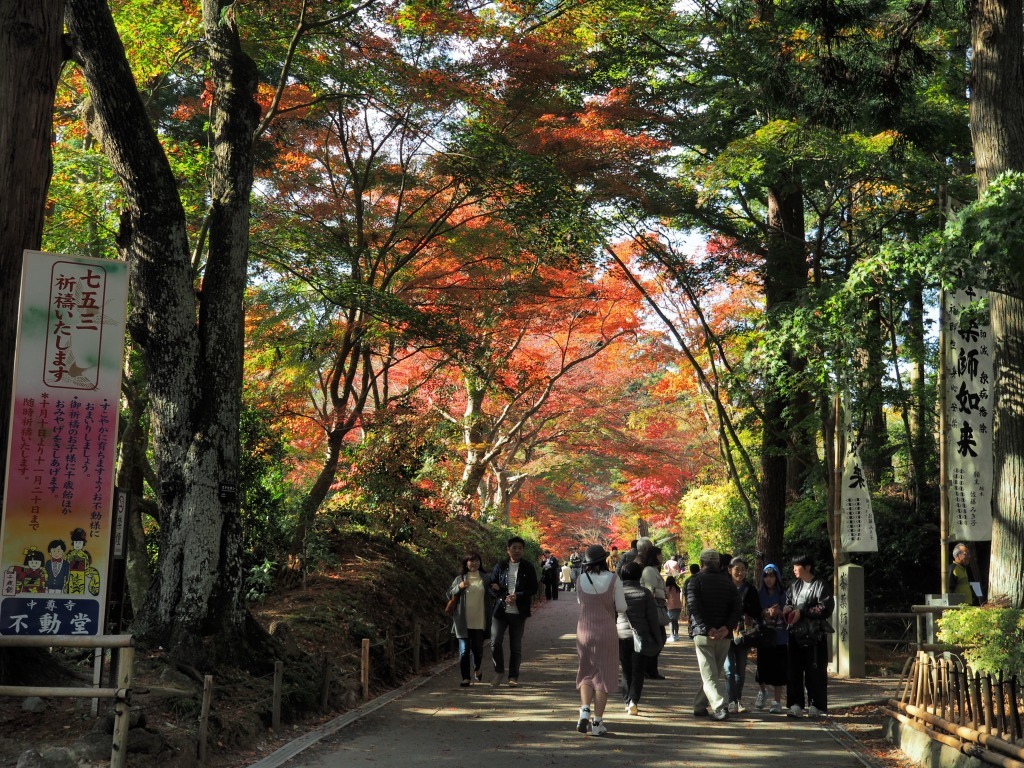 平泉経由で湯本温泉行き_f0138305_09132891.jpg