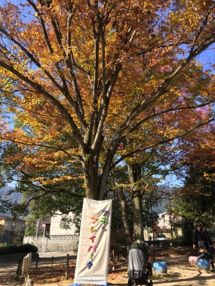 f0223705_18230353.jpeg