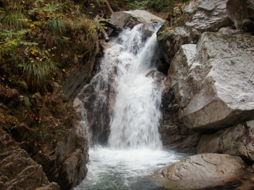 d0342206_21232271.jpg