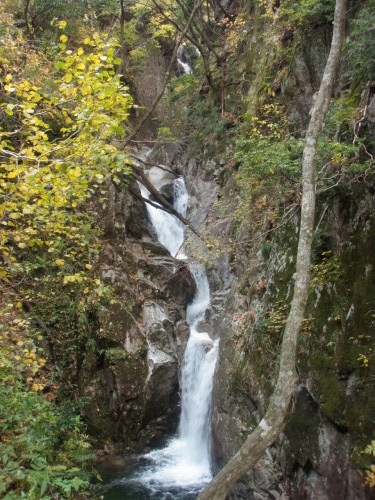 d0342206_21251843.jpg