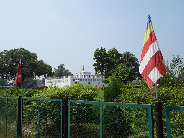 d0360509_2004573.jpg