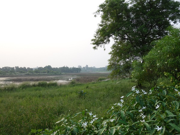 d0360509_20475186.jpg