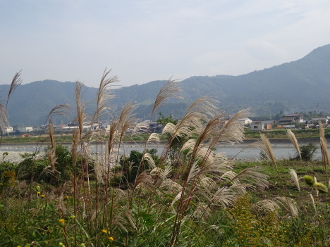 f0231709_17071155.jpg