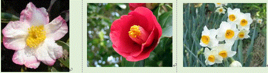 f0231709_17442382.gif