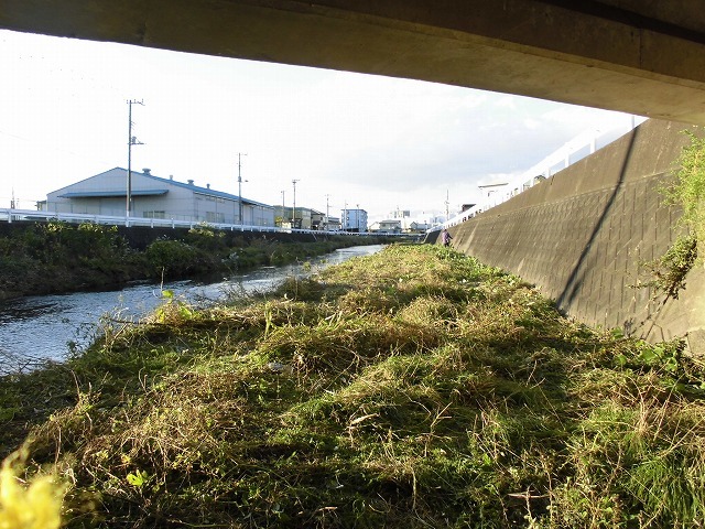 久々の「小潤井川の草刈り清掃」と、「ホルモン忠ちゃん」で久々の「締めのラーメン」_f0141310_08163026.jpg