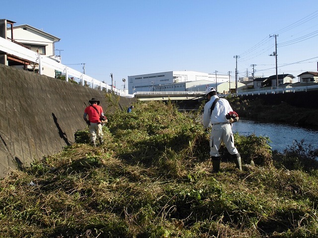 久々の「小潤井川の草刈り清掃」と、「ホルモン忠ちゃん」で久々の「締めのラーメン」_f0141310_08164925.jpg