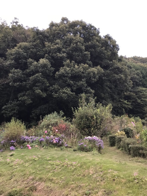 f0269910_12524544.jpeg