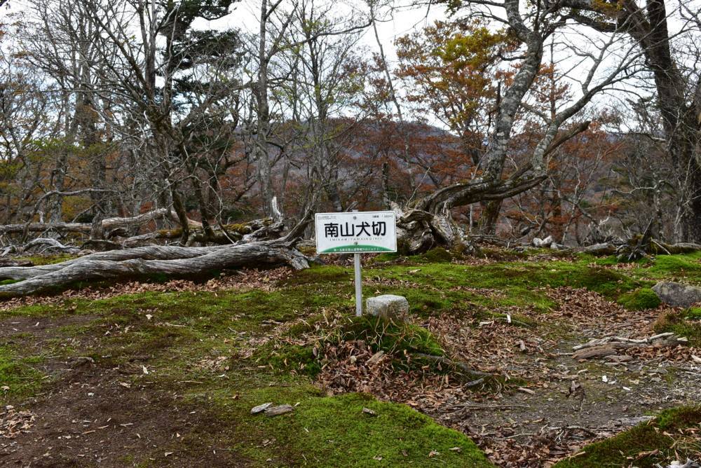 f0212511_22510138.jpg