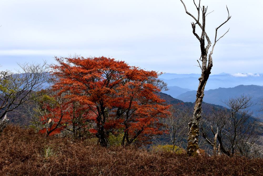 f0212511_22513190.jpg