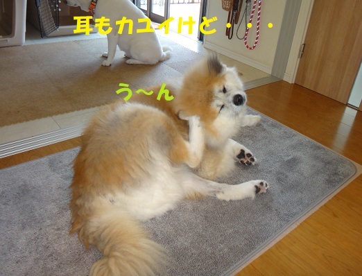 f0121712_14021673.jpg