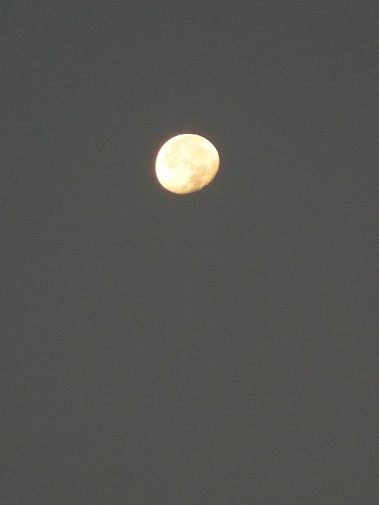 c0202113_1156467.jpg