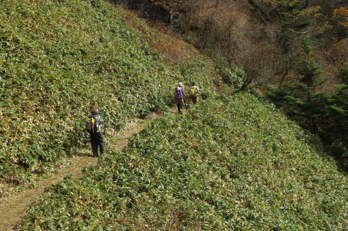 No   120  山の仲間と一泊二日（東黒森）（2017年11月4日）_d0341514_21150066.jpg