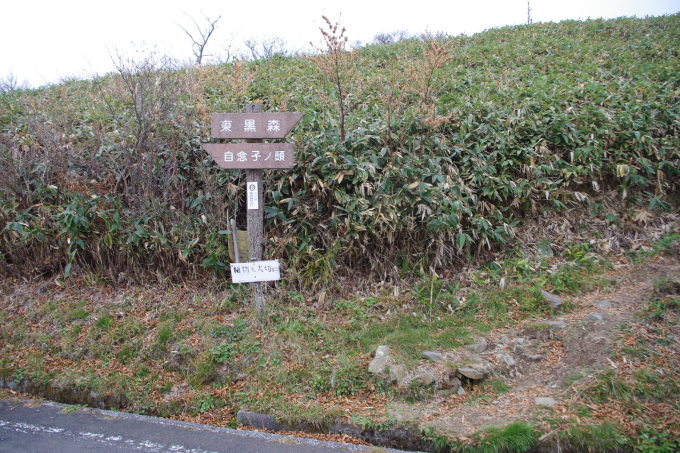 d0341514_21192154.jpg
