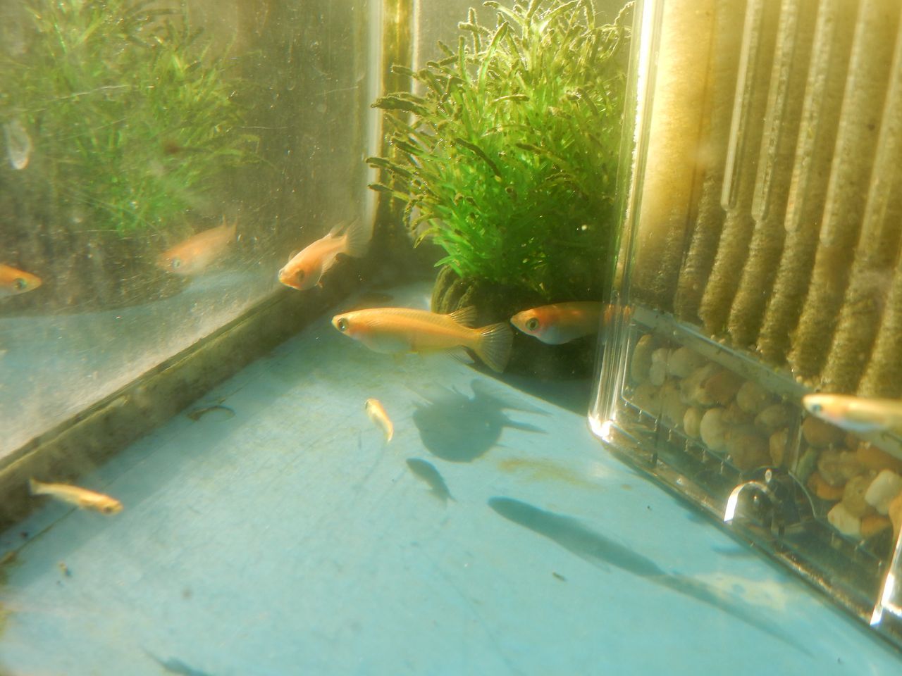 立冬とは思えぬ暖かさ_c0025115_21082753.jpg