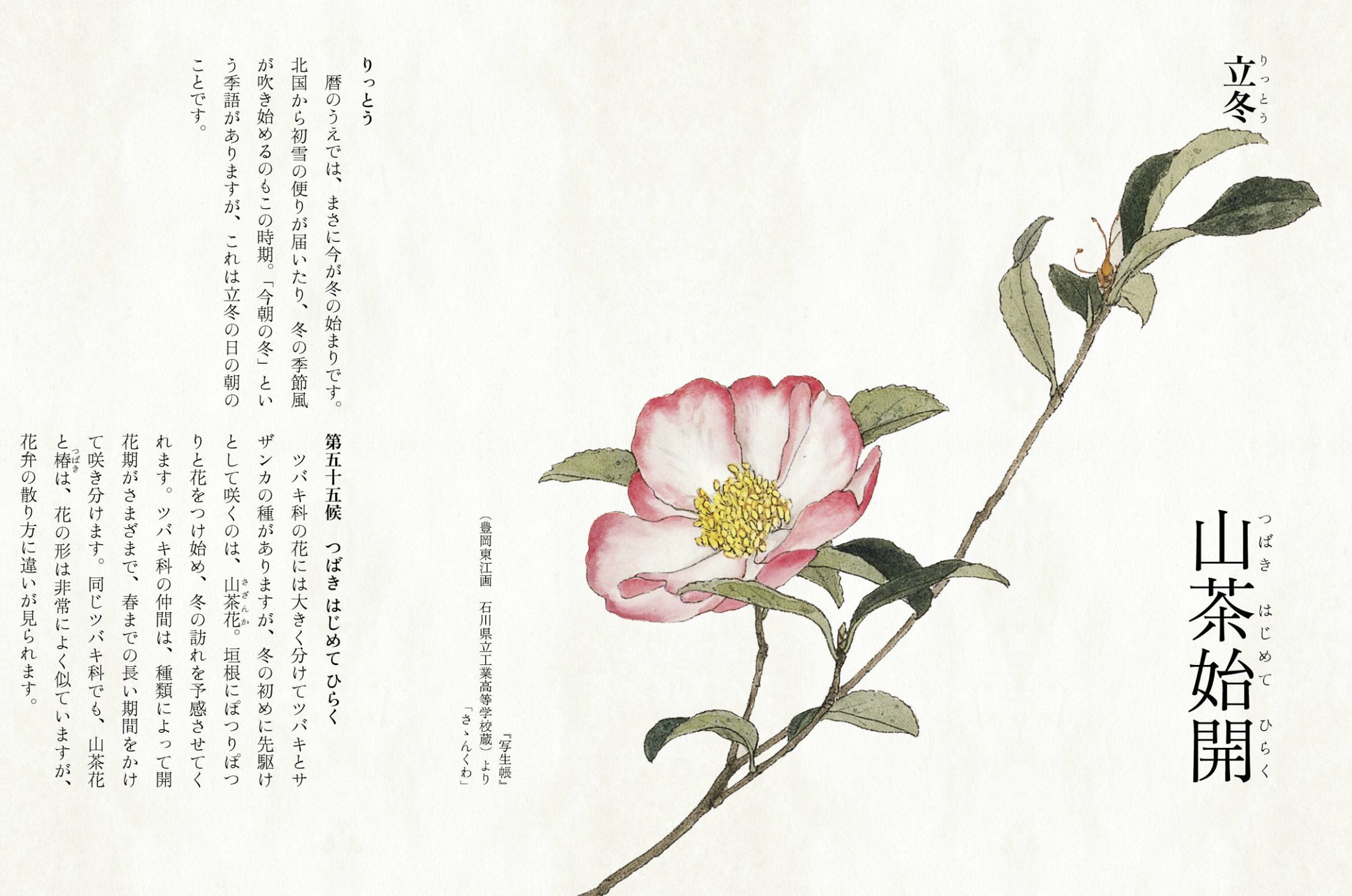 立冬とは思えぬ暖かさ_c0025115_21085753.jpg