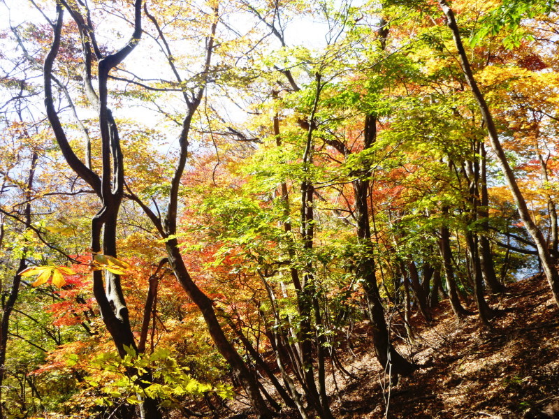 今日のお気に入り写真　舟伏山 (1,040.3M)  に登る_d0170615_18284242.jpg