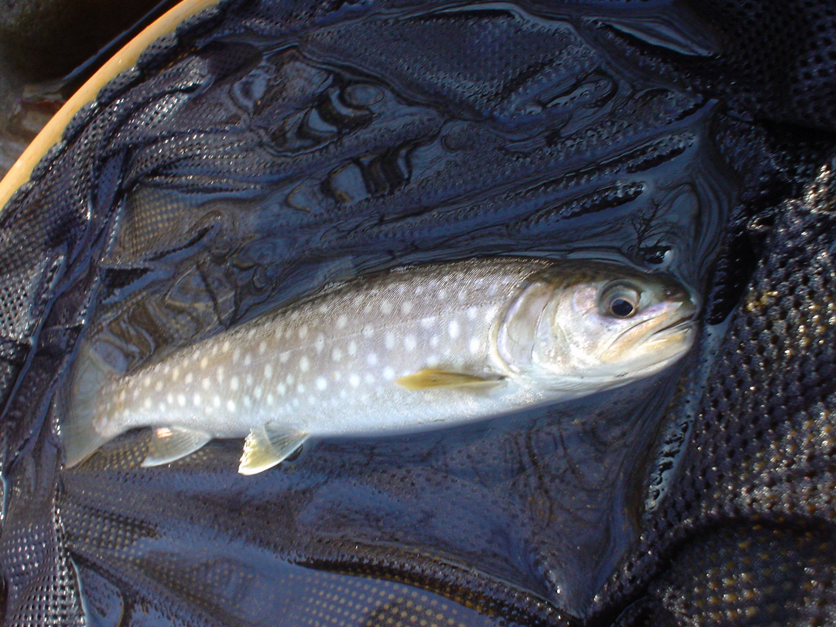 f0280717_14530135.jpg