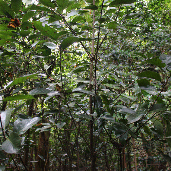 a0329820_21564506.jpg