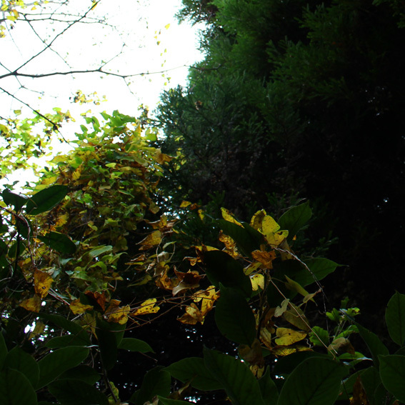 a0329820_21564916.jpg