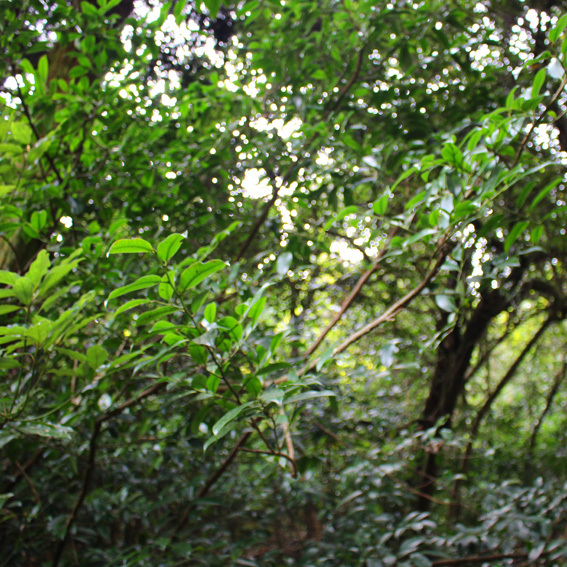 a0329820_21565862.jpg