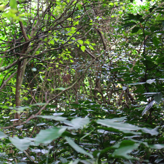 a0329820_21571326.jpg