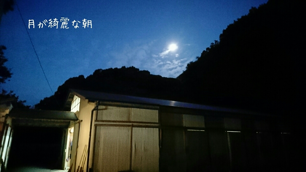 b0187620_20431301.jpg