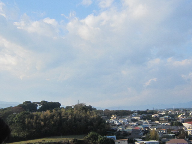 d0162225_20152356.jpg