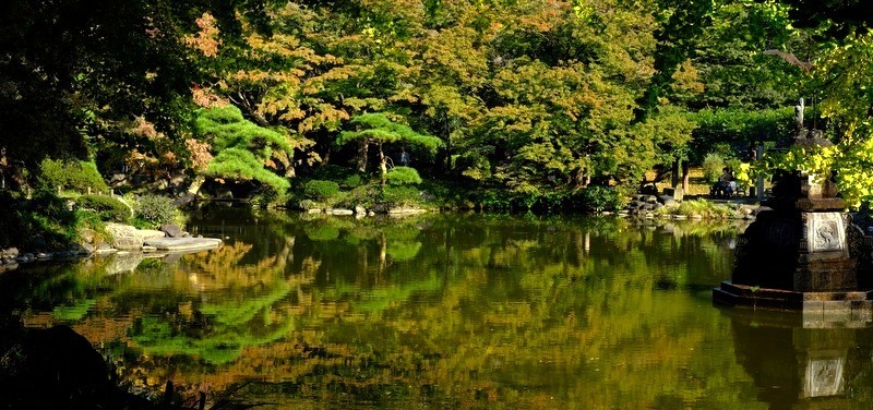 「オリーブオイルにも旬がある。小豆島・井上誠耕園のオリーブ農園」_a0000029_21580603.jpg