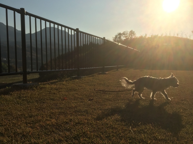 d0359930_21310240.jpeg