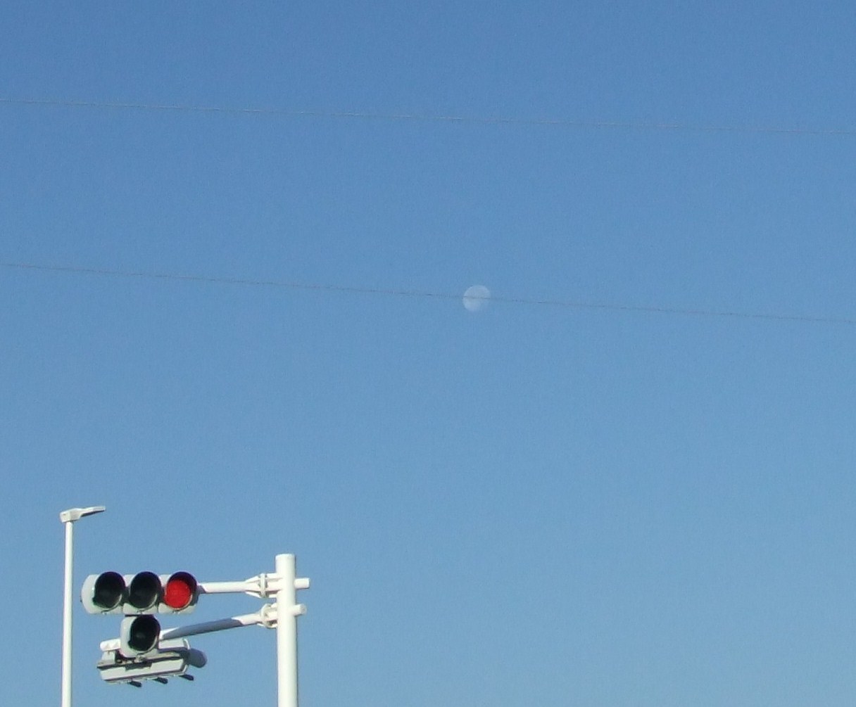 b0137932_15395500.jpg
