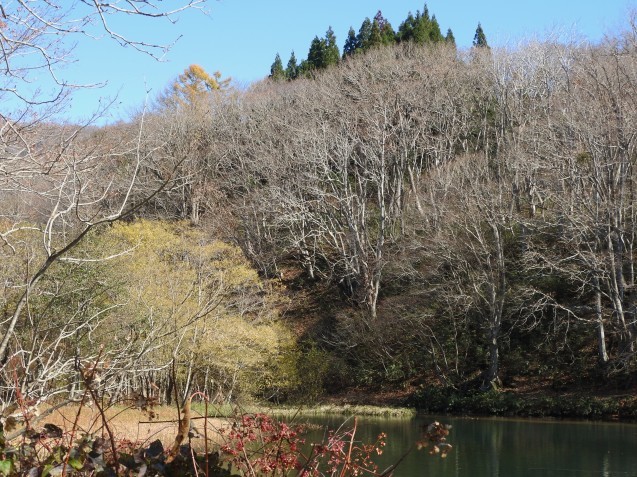 f0118332_11192955.jpg