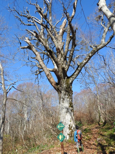 f0118332_11205301.jpg