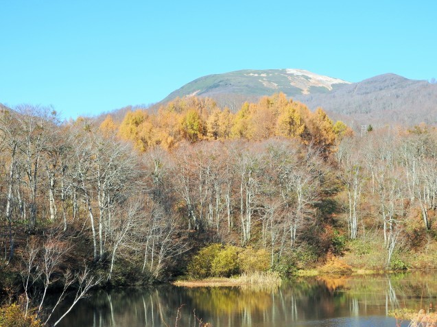 f0118332_11224598.jpg