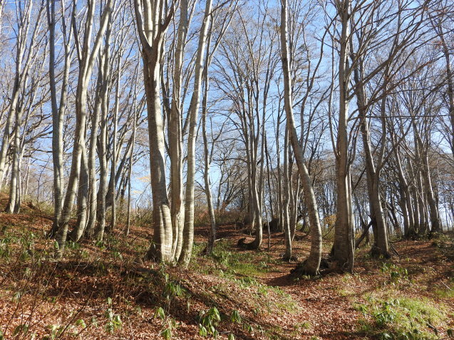 f0118332_11234383.jpg