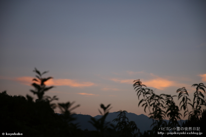 d0140234_20152696.jpg