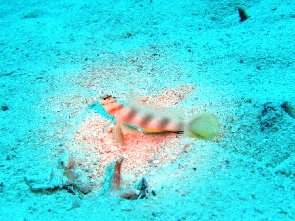 a0189838_09484504.jpg