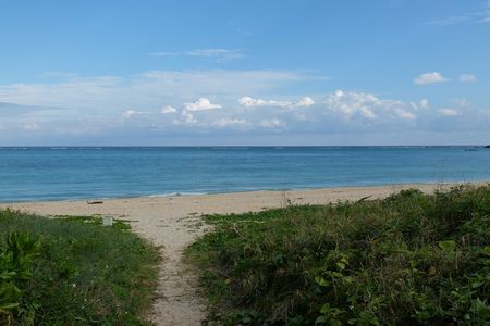 c0148238_08362101.jpg