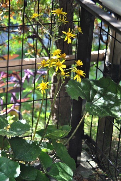 f0274138_10491950.jpg
