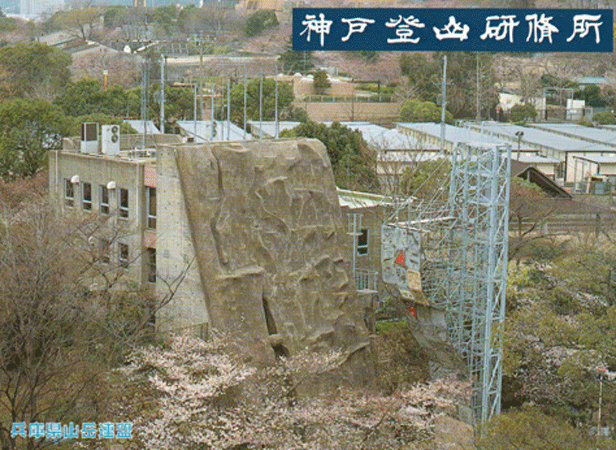 e0371039_6474130.gif