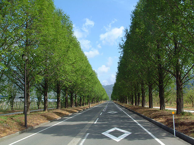 e0371039_6514013.jpg